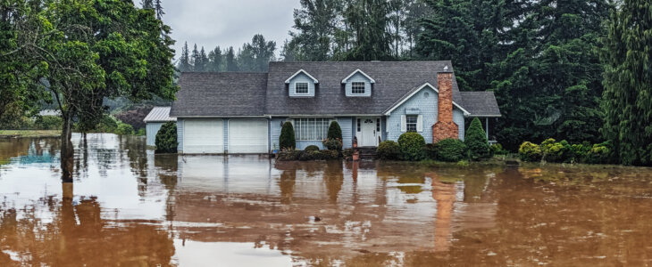 Photo of house exterior with flooded yard; artificially rendered