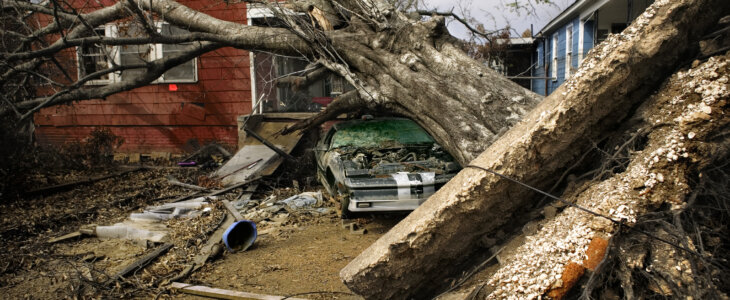 After a hurricane, a tree falls on a person property